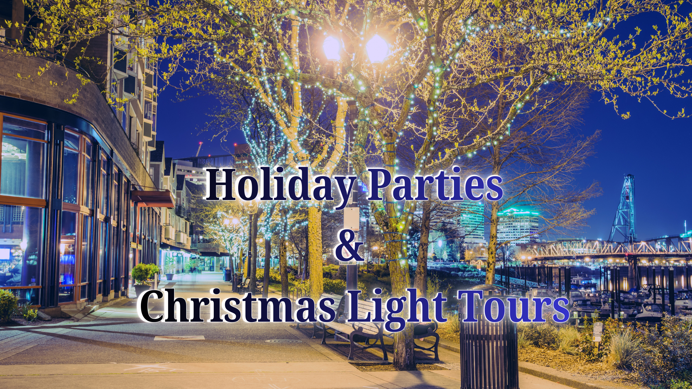 Holiday Parties & Christmas Light Tours Christmas Light Tours & Holiday Party Limousines