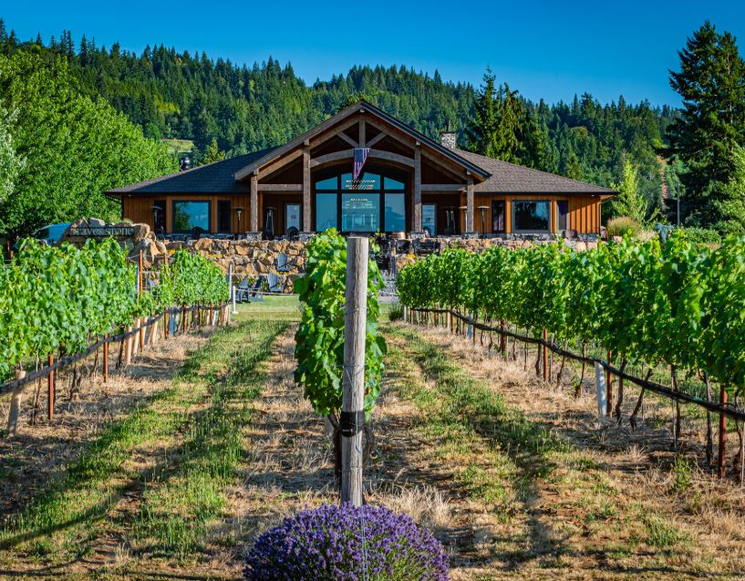 Hood River Vineyard Tour to Stave and Stone Winery with JMI Limousine