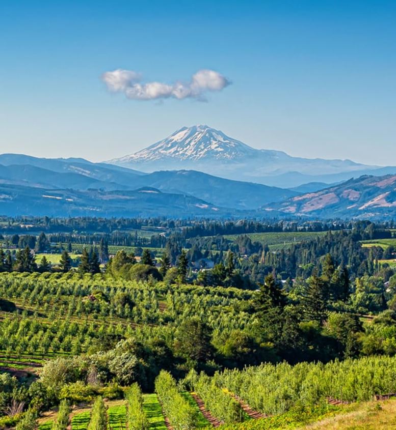 Hood River Wine Tasting Tours to Stave and Stone Winery with JMI Limousine